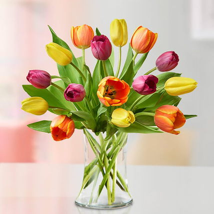 Heavenly Multi Coloured Tulips Vase: Tulips 