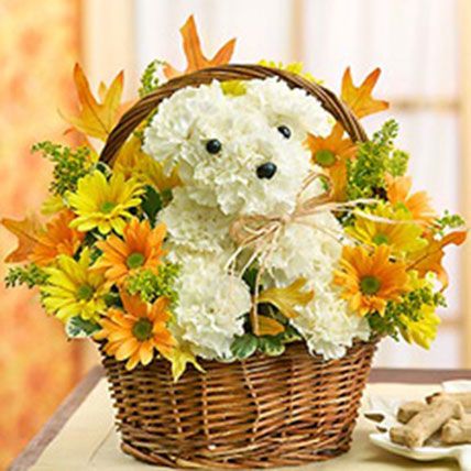 Love For All: Bithday flower bouquets