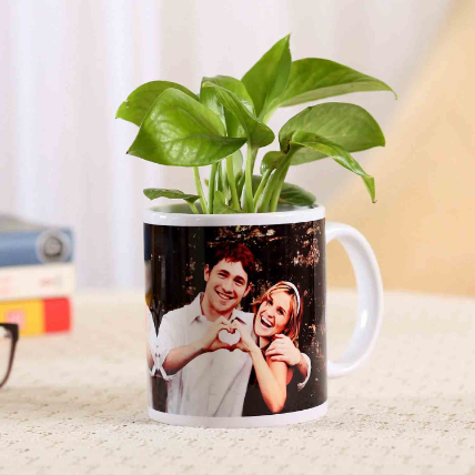 Picture Mug Money Plant: Valentines Day Gifts 