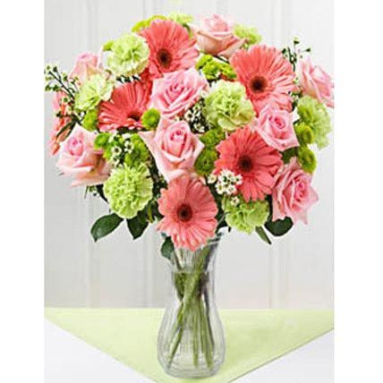 Pink Lollipops: Carnations Flowers 