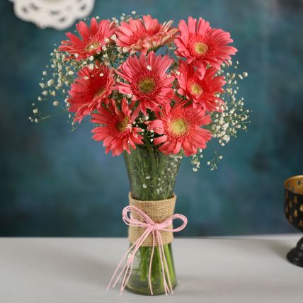 pink marvel gerbera vase: 