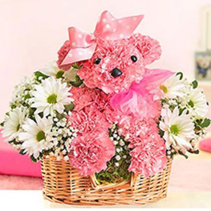 Princess Paws: Carnations Flowers 