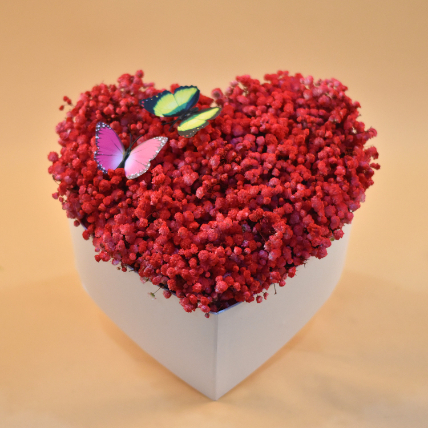 Red Baby Breath Heart Shaped Box: Gifts for Valentines Day