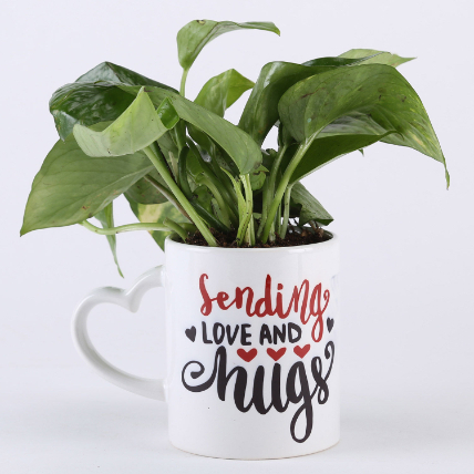 Sending Love Money Plant Mug: Valentines Day Gifts 