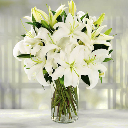 Serene Arrangement of Lovely White Lilies: Lilies Flowers
