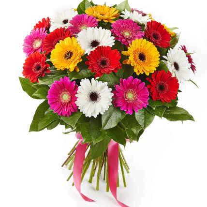 Summery Gerbera Blooming Bouquet: Anniversary Flowers 