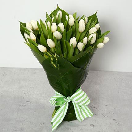 white tulips bouquet: 