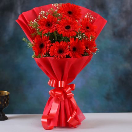 12 Red Elegance Gerbera Blossoms
