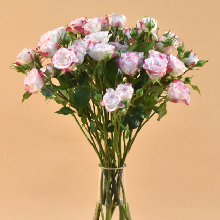 Online Pink Spray Roses Oval Shaped Vase Gift Delivery in Philippines - FNP