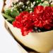 12 Appealing Carnations Bouquet