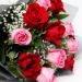 20 Pink And Red Roses Sweet Bouquet