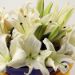 Beautiful 6 White Oriental Lilies Bouquet