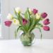 beautiful mixed tulips glass vase