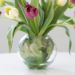 beautiful mixed tulips glass vase