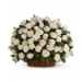 Beautiful White Roses Basket