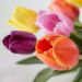 Blissful Mixed Tulips Glass Vase Arrangement