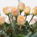 Bunch of 12 Peach Roses Vase Arrangement