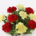 Bunch Of Red Yellow Carnations