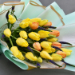 French Tulips Long Bouquet