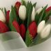 graceful red and white tulips posy