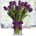 Mango Mousse Cake & Royal Purple Tulips