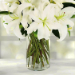 Serene Arrangement of Lovely White Lilies