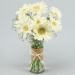serene white gerbera vase