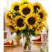 Super Spring Sunflower