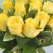 vase of sunshine yellow roses