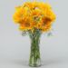 yellow mystique gerbera vase
